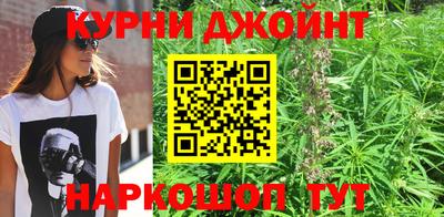 ГАЛЛЮЦИНОГЕННЫЕ ГРИБЫ Донской